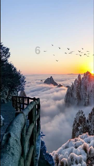 《幻兽帕鲁》孵蛋时间减少方法